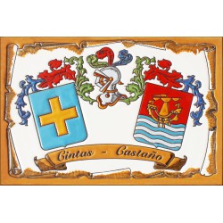 Escudo Heráldico de 20x30 cm. en cuerda seca