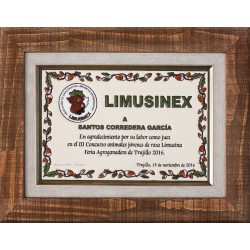 Placa Conmemorativa de 20x30cm. decorada a la cuerda seca con doble marco