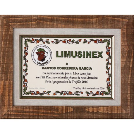 Placa Conmemorativa de 20x30cm. decorada a la cuerda seca con doble marco