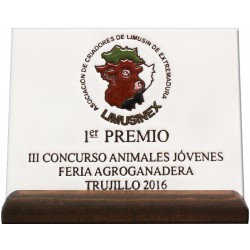 Placa Conmemorativa de 20x15cm. decorada a la cuerda seca sobre peana de madera