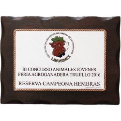 Placa Conmemorativa en cuerda seca de 20x30cm. sobre madera