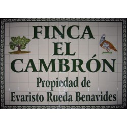 Finca El Cambrón